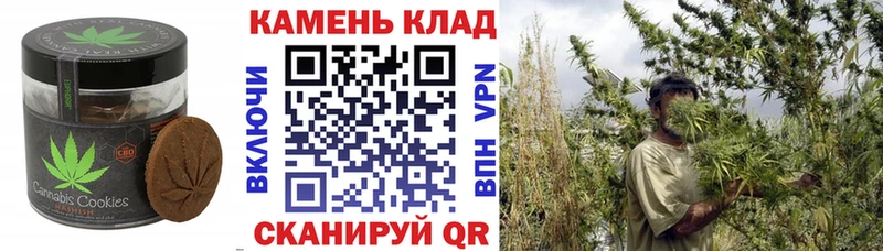Canna-Cookies марихуана  Домодедово 