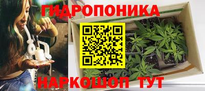 ПСИЛОЦИБИНОВЫЕ ГРИБЫ Волжск