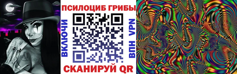 Псилоцибиновые грибы MAGIC MUSHROOMS  дарнет шоп  omg рабочий сайт  Домодедово 