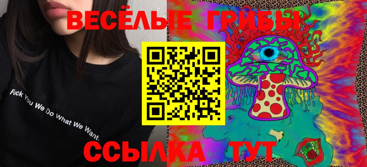 Галлюциногенные грибы Psilocybine cubensis Домодедово
