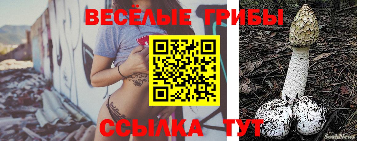 где купить наркоту  Вход с VPN  Домодедово  Псилоцибиновые грибы ЛСД 